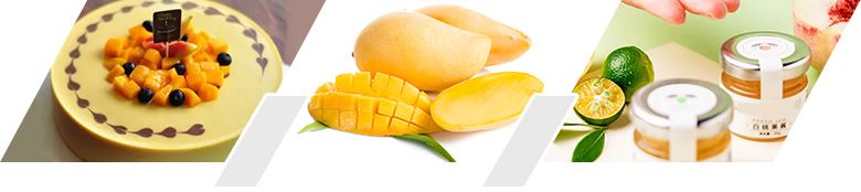 Efficacy-and-Application-Mango-concentrate-juice Efficacy-and-Application-Mango-concentrate-juice