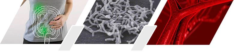 Bifidobacterium-longum